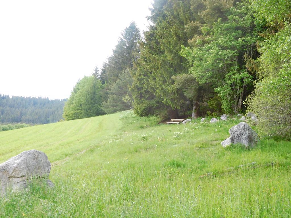 Apartment Schluchsee Zewnętrze zdjęcie